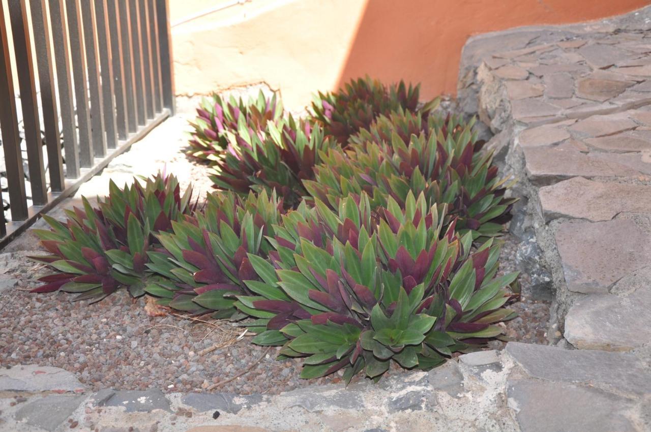 Vivienda Vacacional Villa El Mirador San Sebastián de la Gomera Exteriör bild